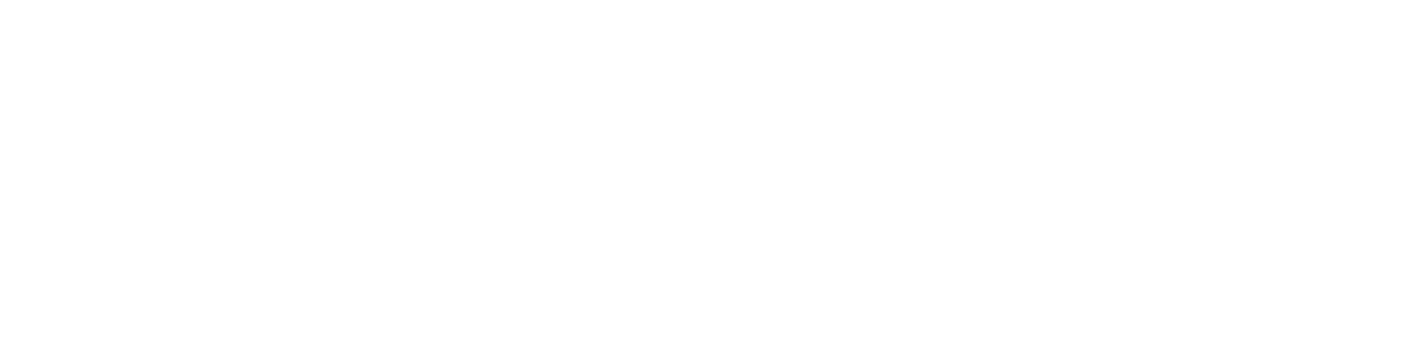 SONI LAW FIRM White Logo