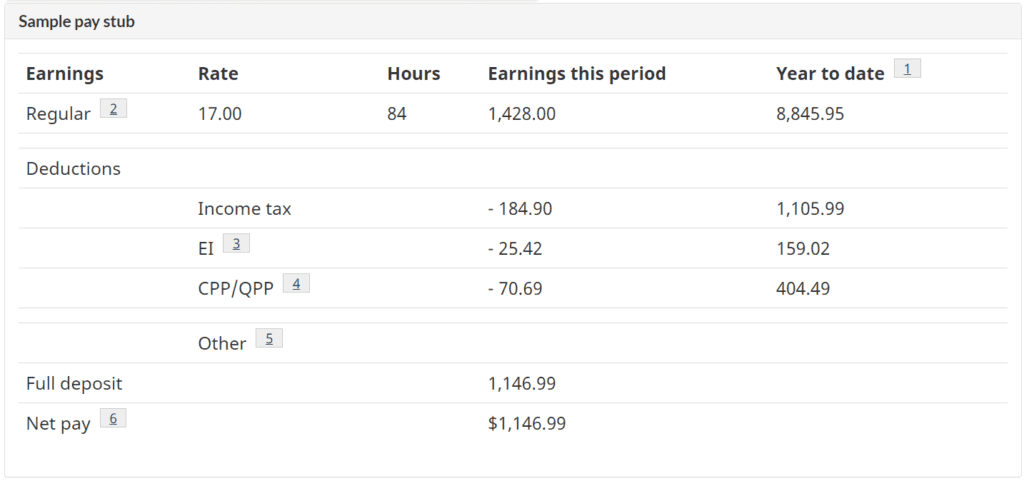 sample pay stub